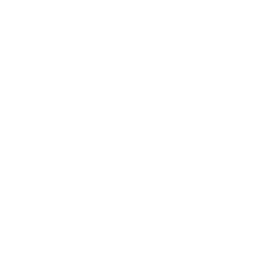 wave