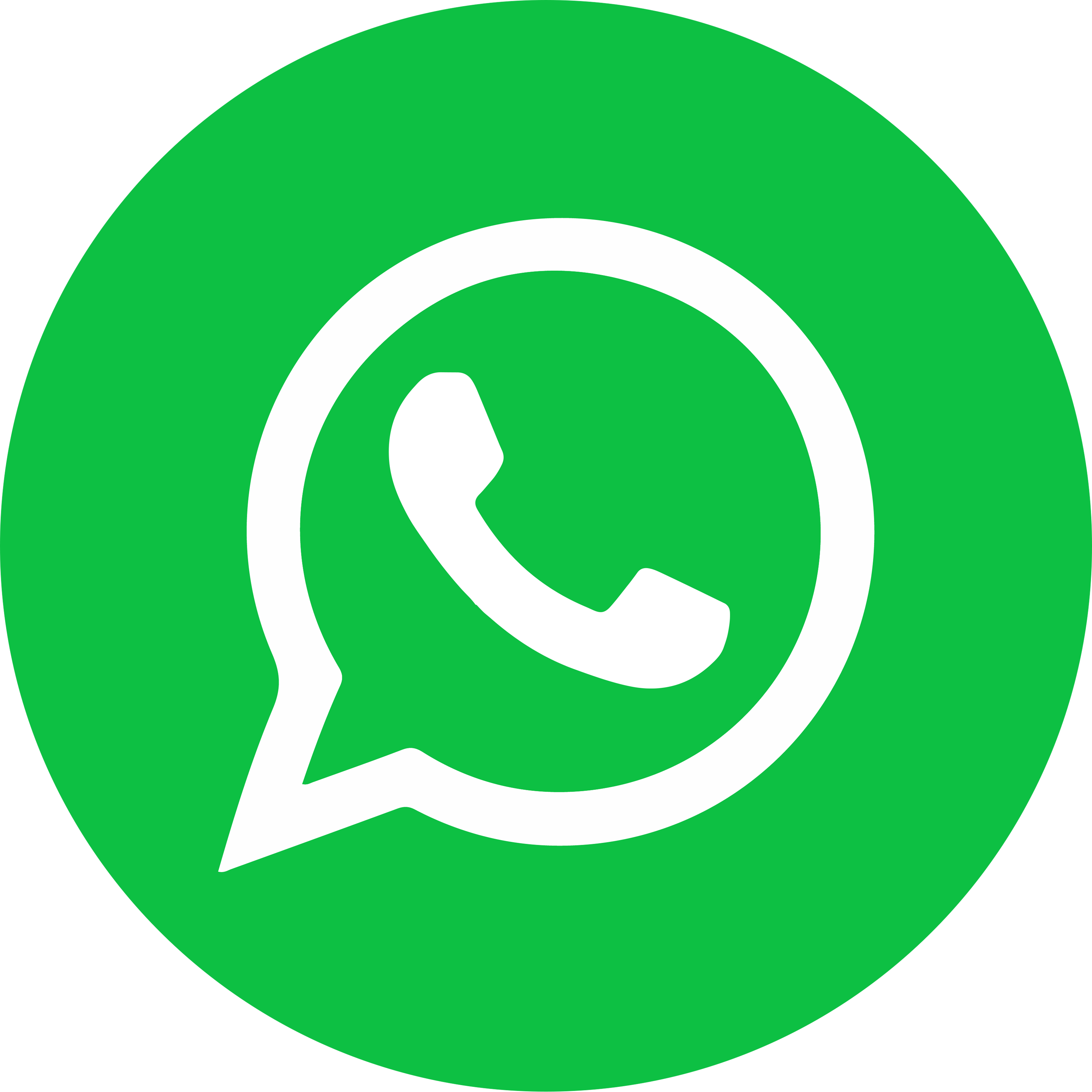 WhatsApp Icon